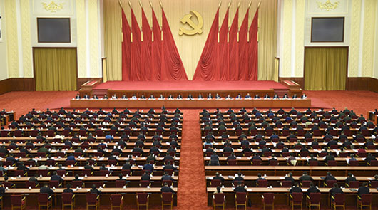 大型政務(wù)視頻會議